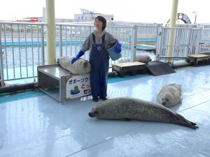 オホーツクとっかりセンター