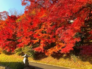 永源寺（もみじ寺）