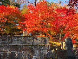 永源寺（もみじ寺）