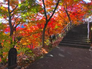 永源寺（もみじ寺）