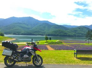 かなやま湖ラベンダー畑