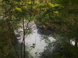 日原鍾乳洞の川