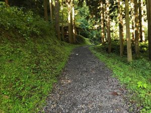 竜頭ヶ滝の遊歩道