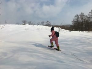 北海道こどもの国