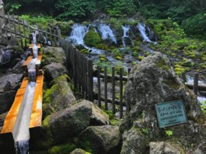 京極スリーユーパークキャンプ場