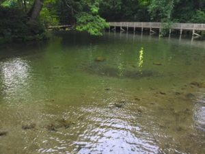 京極スリーユーパークキャンプ場