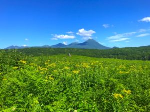 フレペの滝