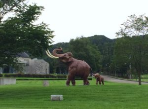 ナウマン公園キャンプ場