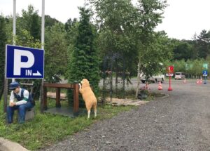 太陽の森 ディマシオ美術館