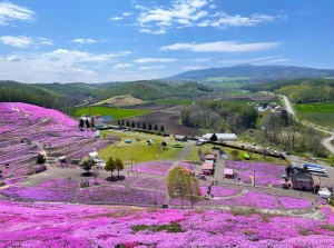 ひがしもこと芝桜公園