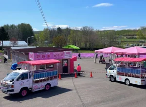 ひがしもこと芝桜公園