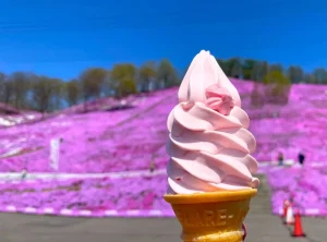 ひがしもこと芝桜公園