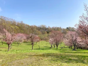 にわ山森林自然公園 