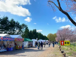 二十間道路桜並木