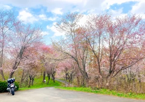 にわ山森林自然公園