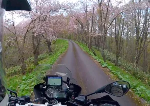 にわ山森林自然公園